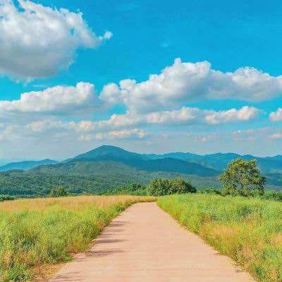 电玩城金鲨银鲨手机app下载截图