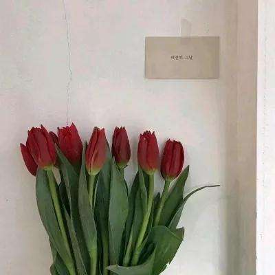 电玩城金鲨银鲨手机app下载